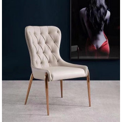Nordic Light luxury dining chair modern simple family hotel restaurant chair