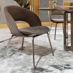 Light luxury minimalist dining chair
